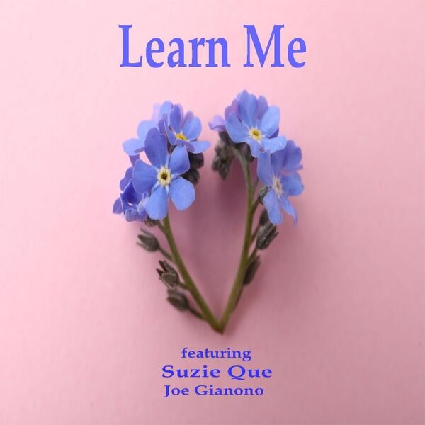 Cover art for Learn Me